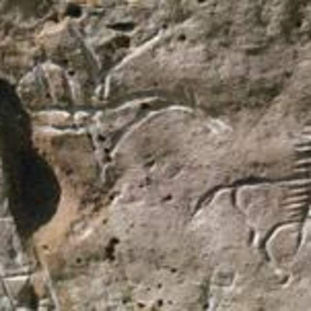 White Mountain Petroglyphs