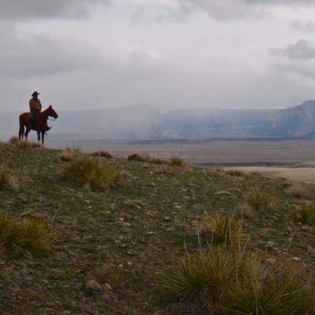TX Ranch Inc