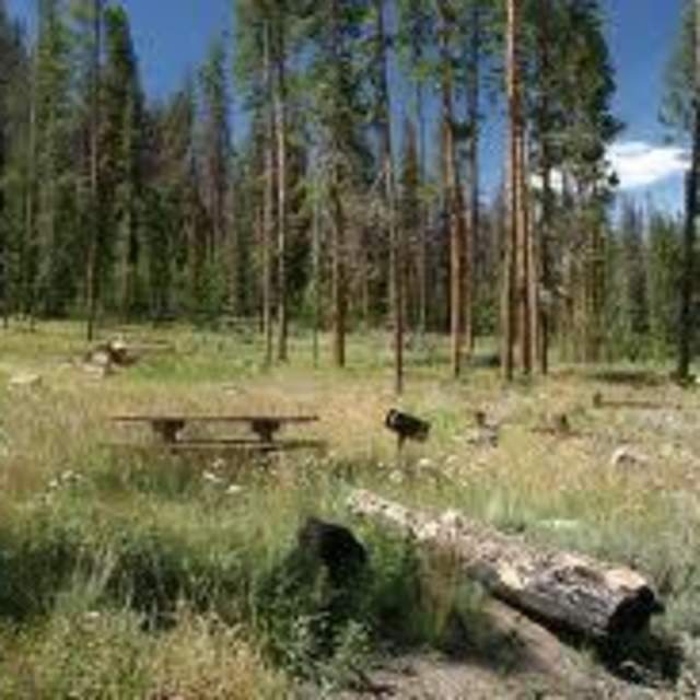 Pelton Creek Campground