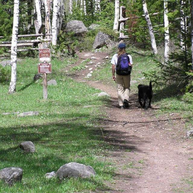 Scab Creek Campground