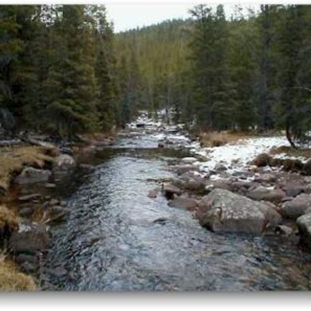 Prune Creek Campground - Bighorn National Forest