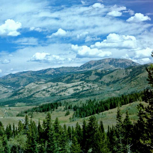 Cabin Creek Picnic Ground - Bighorn National Forest