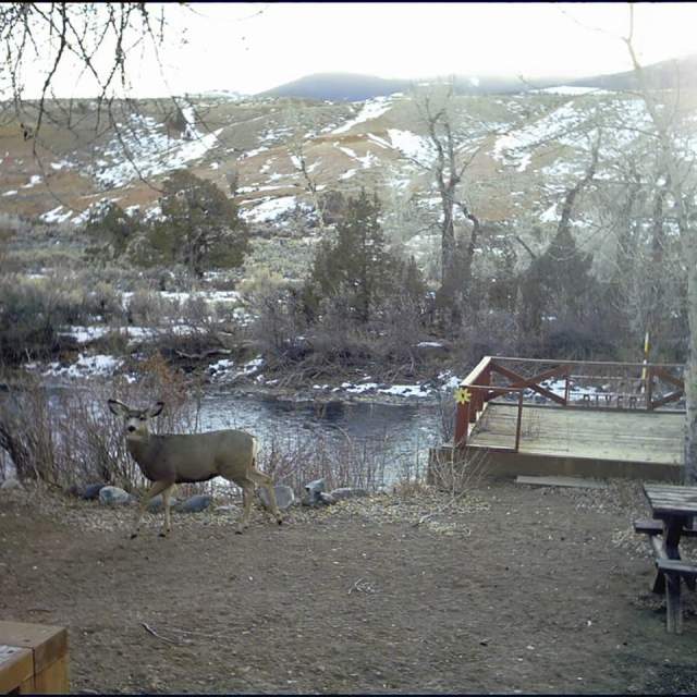 Wind River Motel