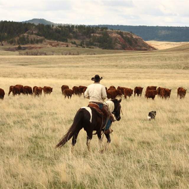 Kara Creek Ranch