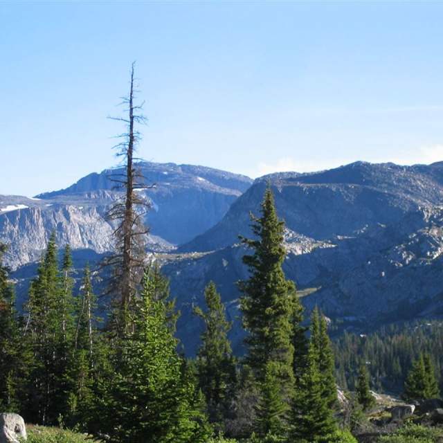 Willow Park Group Area - Bighorn National Forest