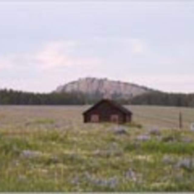 Muddy Guard Cabin - Bighorn National Forest