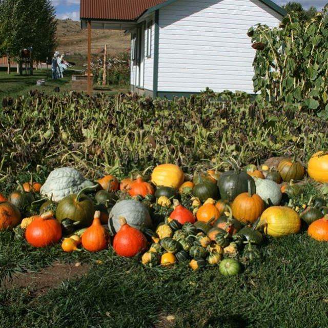 Little Snake River Museum