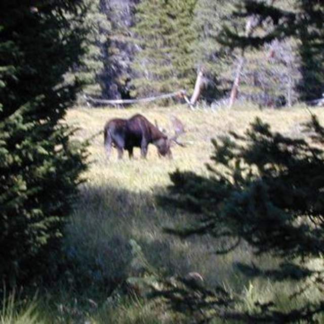 Lost Cabin Campground - Bighorn National Forest