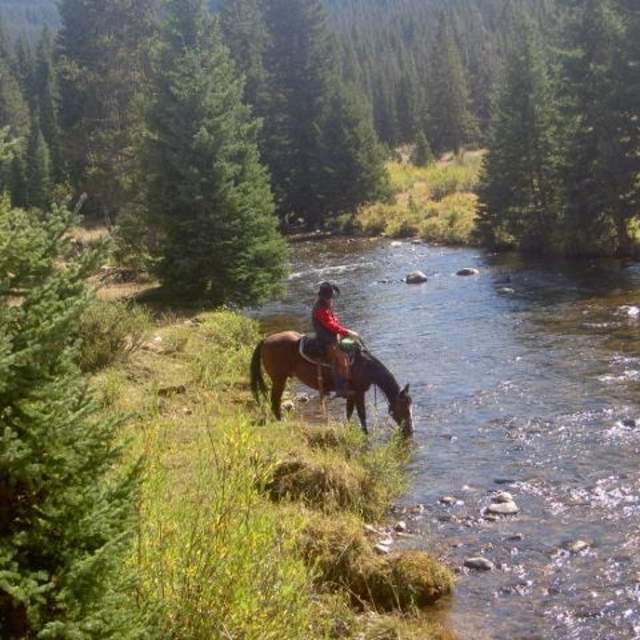 The Hideout Lodge & Guest Ranch
