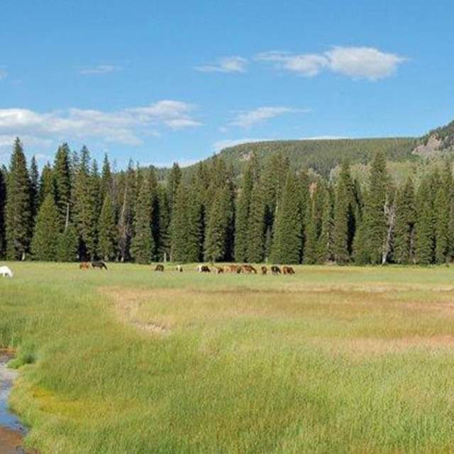 Wilderness Trails Inc.