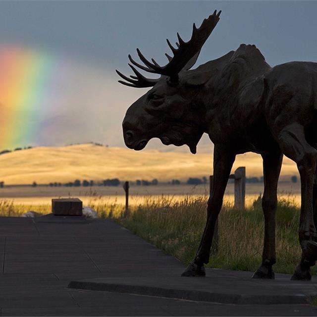 National Museum of Wildlife Art