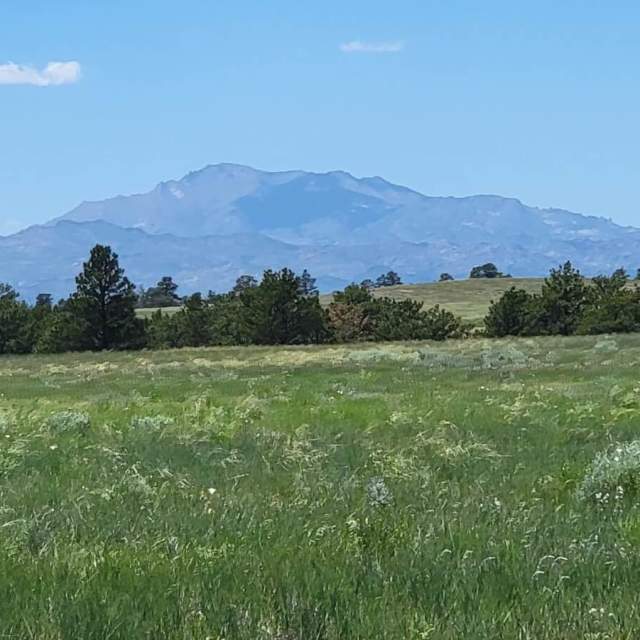 Cottonwood Creek Ranch
