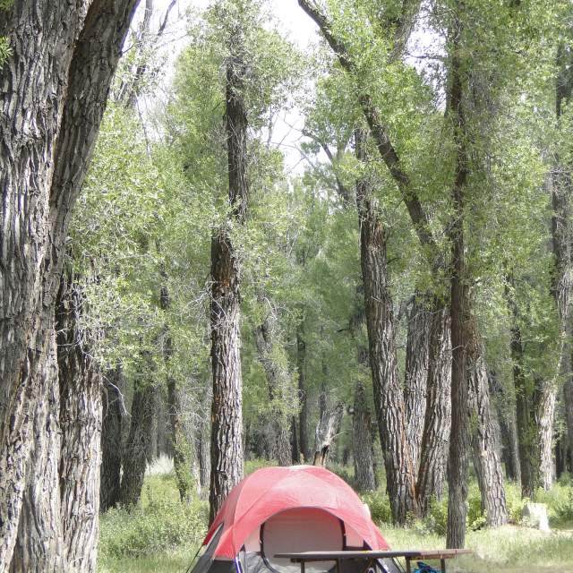 Gros Ventre Campground