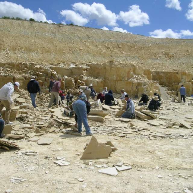 Fossil Lake Safari
