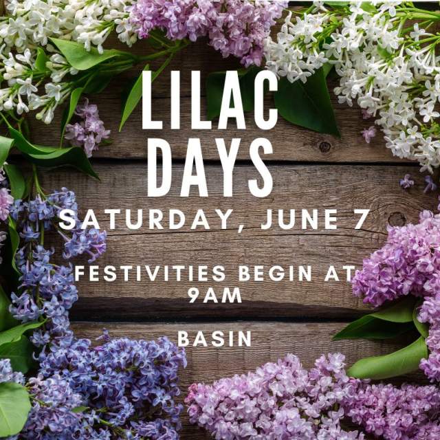 Lilac Days