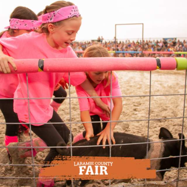 Laramie County Fair Pig Wrestling