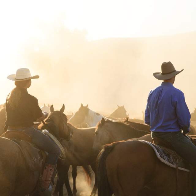 Eatons Horse Drive