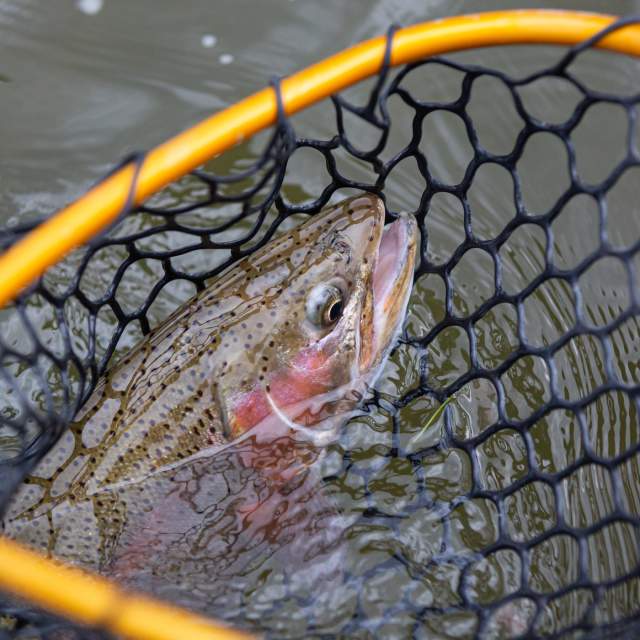 Miracle Mile Fishing