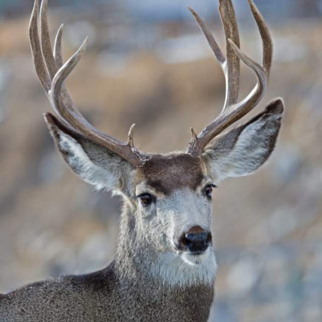 FAB Ranch Outfitters