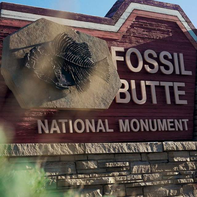 Fossil Butte National Monument