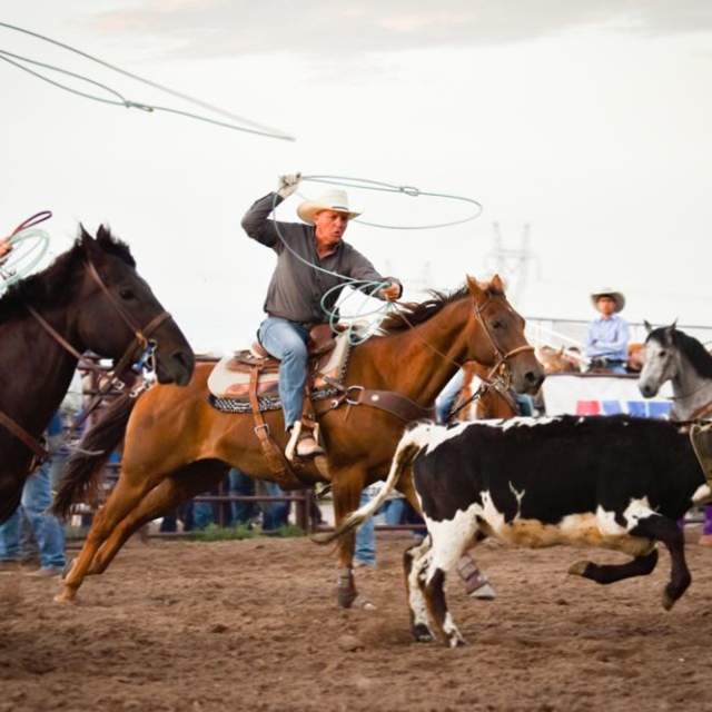Hell on Wheels Rodeo and Chuck Wagon Dinner