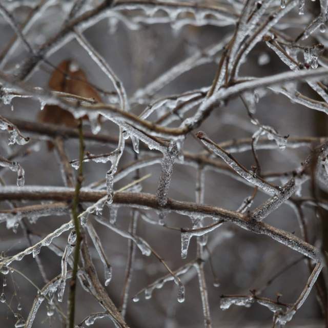 Artist Talk with Tiffany Deater