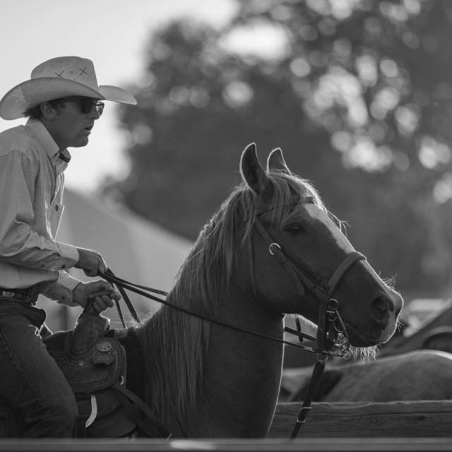 Wyoming State Fair and Rodeo