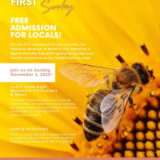 First Sundays &#8211; Locals’ Free Day at the Museum