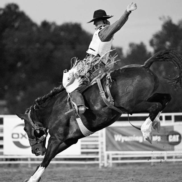 Tough Enough to Wear Pink PRCA Rodeo