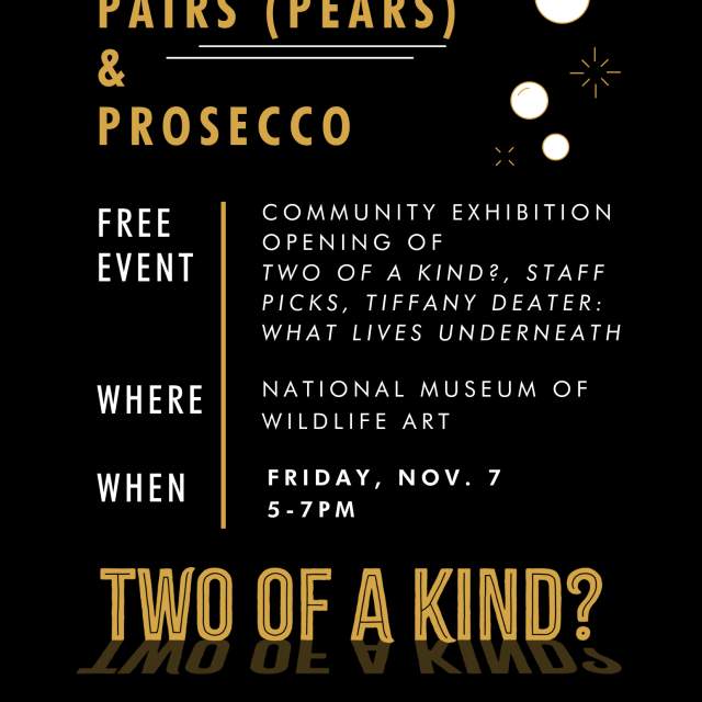 Pairs (Pears) & Prosecco &#8211; Community Exhibition Opening