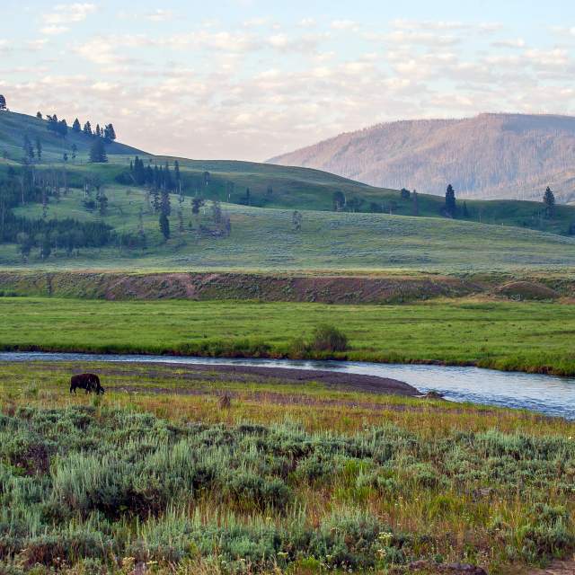Lamar Valley