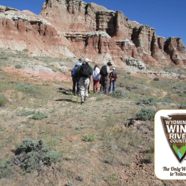 Wild Plants of Mason Draw