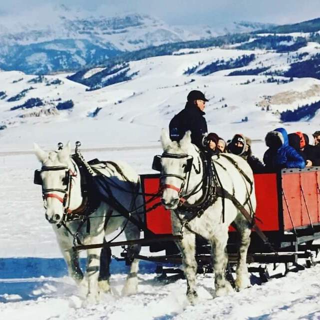 National Elk Refuge Sleigh Rides
