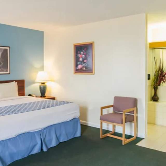 Alamo Inn & Suites
