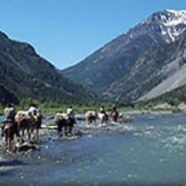 Bliss Creek Outfitters