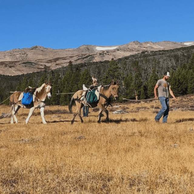 Bugling Winds Outfitting