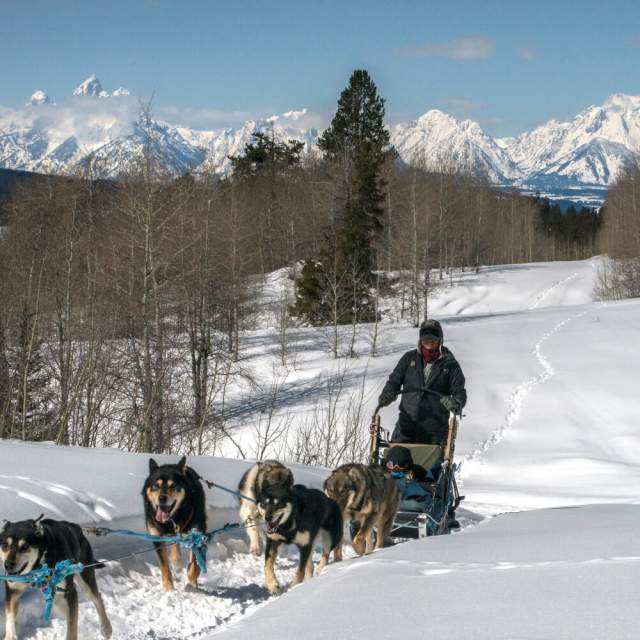 Continental Divide Dogsled Adventures