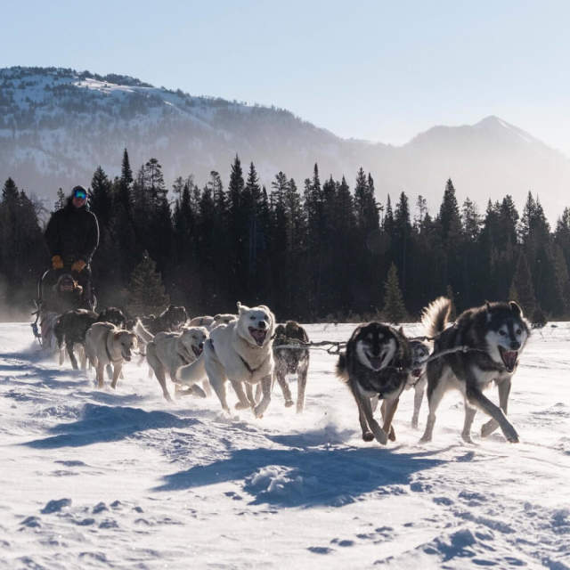 Continental Divide Dog Sled Adventures