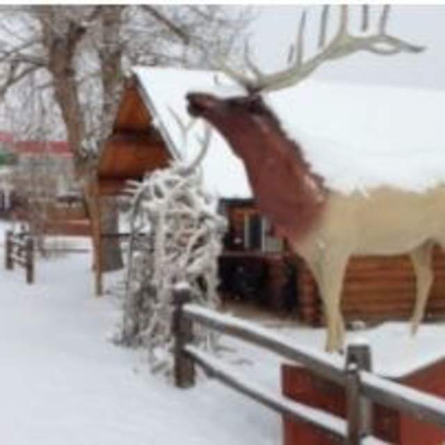 Elk Antler Inn Budget Host