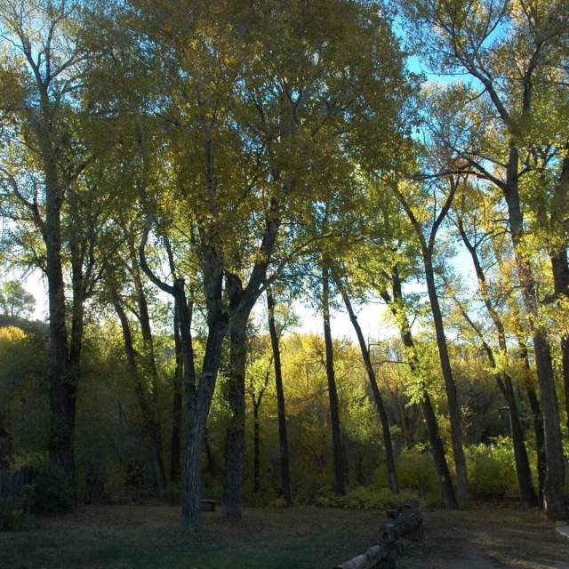 Elk Mountain Cabins