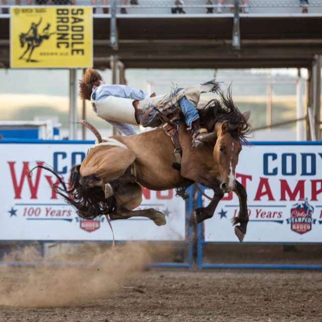 Cody Nite Rodeo