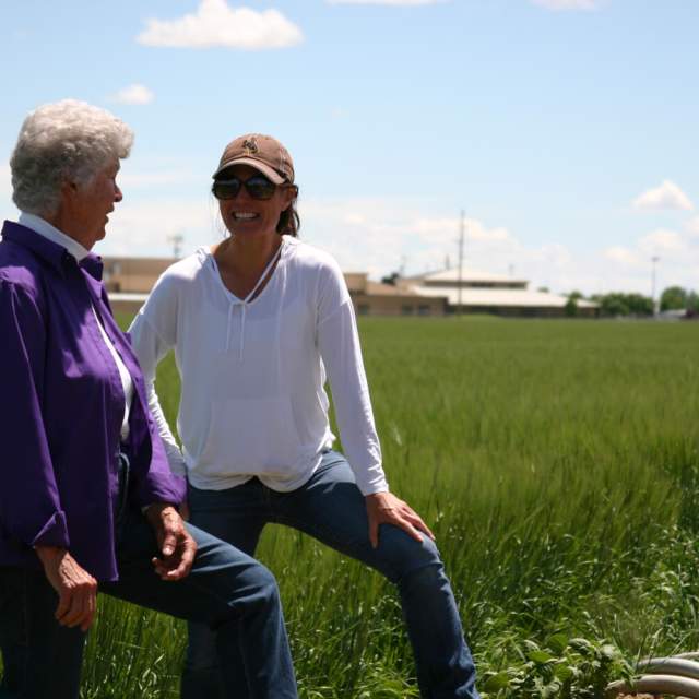 Powell Visitor Center