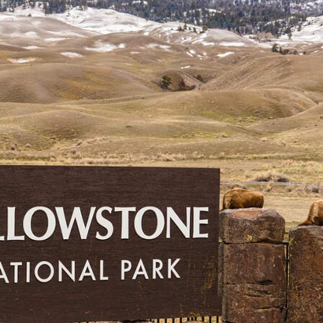 GaperGuide North Yellowstone: Self-guided audio tour