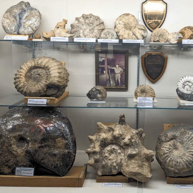 Greybull Museum