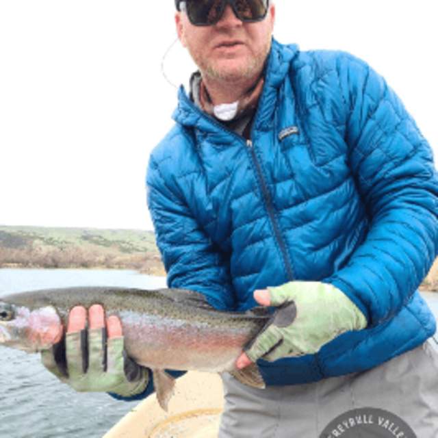 Greybull Valley Trout Guides
