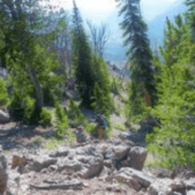 Hidden Creek Outfitters