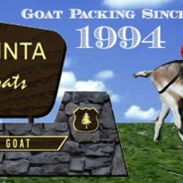 High Uinta Pack Goats