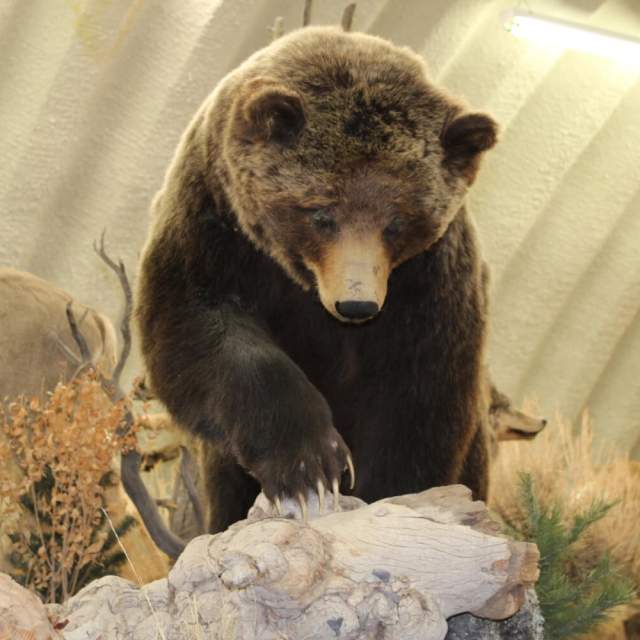 Wind River Visitors Council