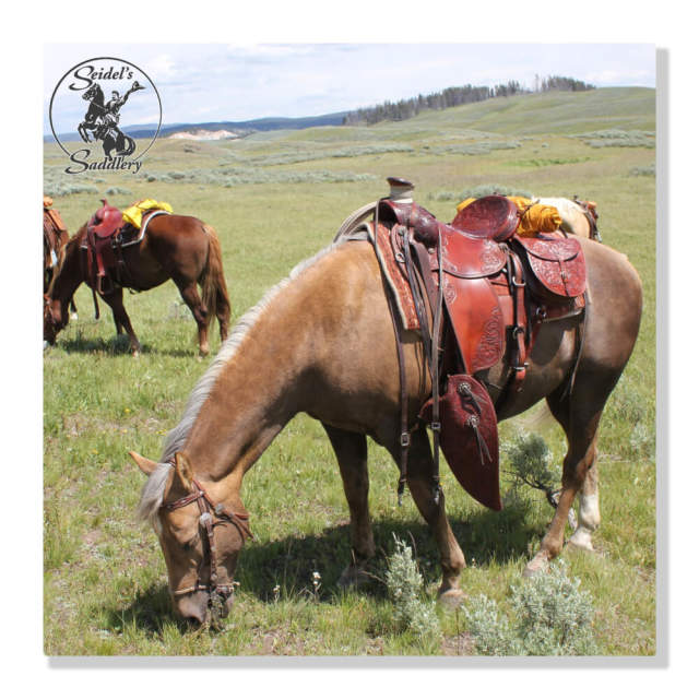 SEIDEL'S SADDLERY
