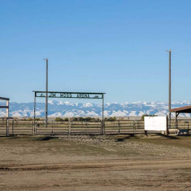 Jim Moss Arena Campground